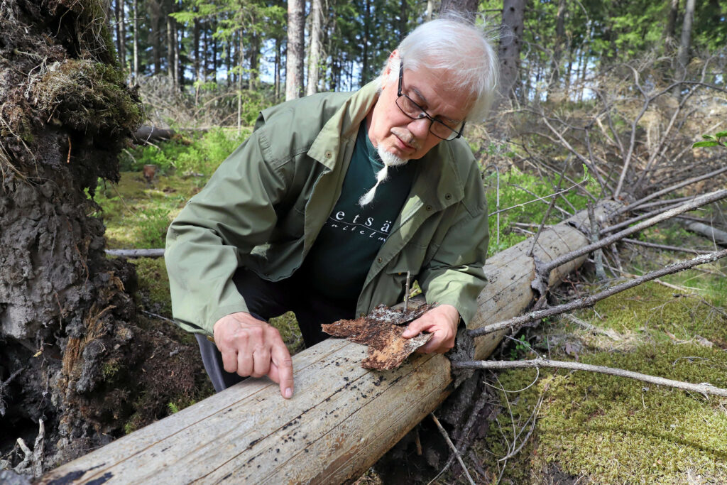 Henkilöjutut